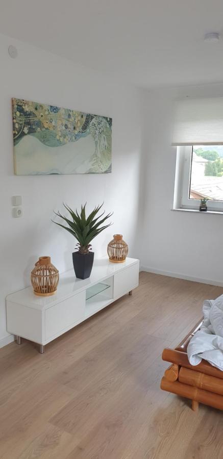 Frisch Renoviert Mit Dachterrasse - Geniesse Ruhe Und Grun Nahe Neustadt Aisch Neustadt an der Aisch Exterior photo
