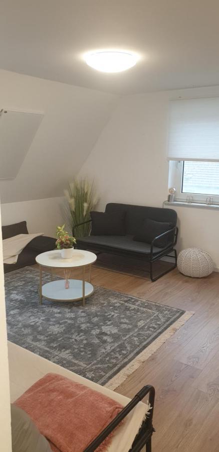 Frisch Renoviert Mit Dachterrasse - Geniesse Ruhe Und Grun Nahe Neustadt Aisch Neustadt an der Aisch Exterior photo