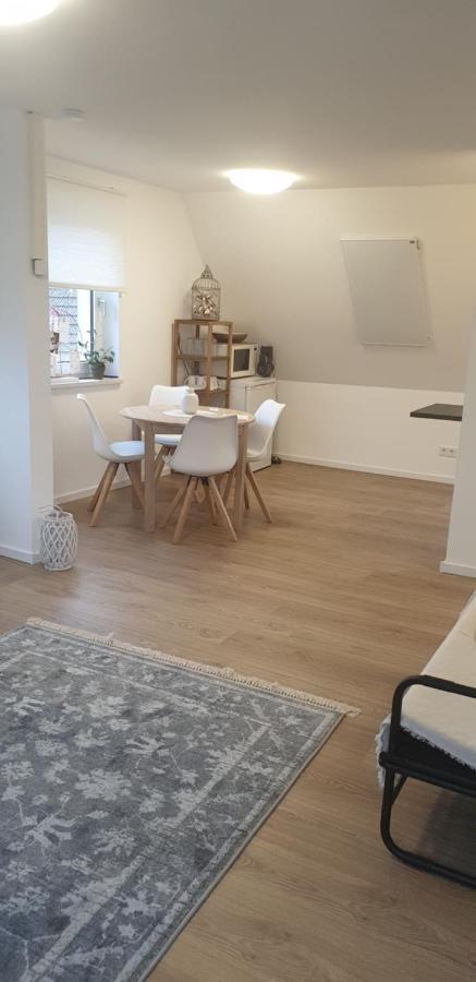 Frisch Renoviert Mit Dachterrasse - Geniesse Ruhe Und Grun Nahe Neustadt Aisch Neustadt an der Aisch Exterior photo